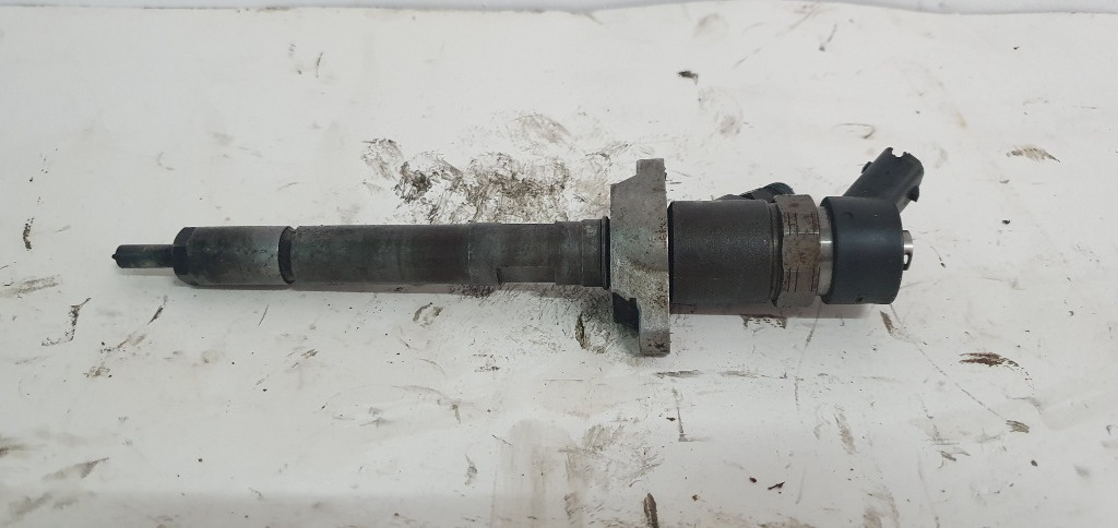 0445110259 Injector Peugeot 407 1.6 HDI