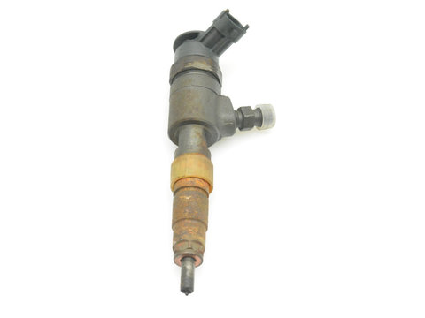 0445110339 Injector Citroen C3 (2) 1.4 HDI 8H01