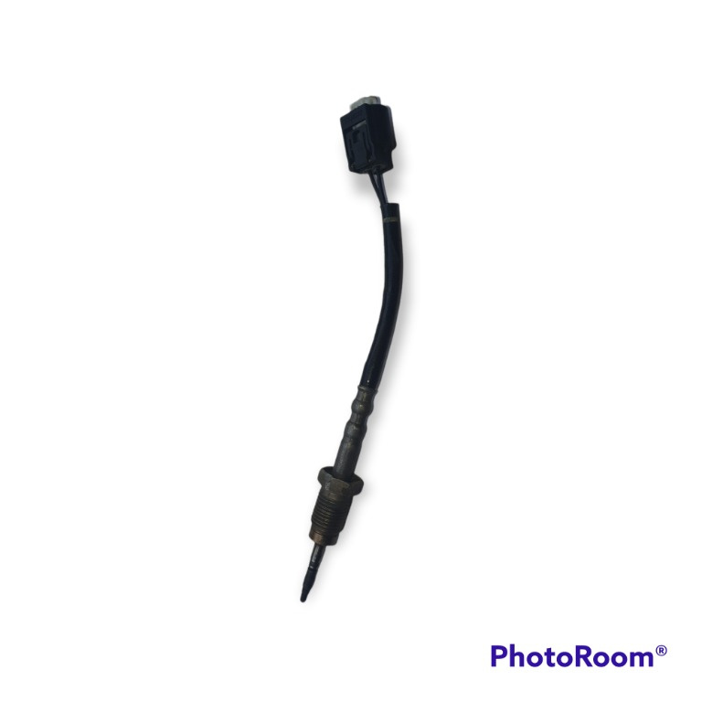 1716555 Sonda temperatura gaze evacuare BMW
