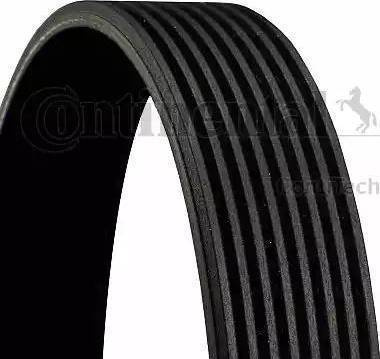 8PK1688 CONTI Curea transmisie cu canel IVECO IVECO Euro I-III (EUROCARGO / ZCFA), Cargo, 01.1991 - 09.2015 Continental 8PK1688