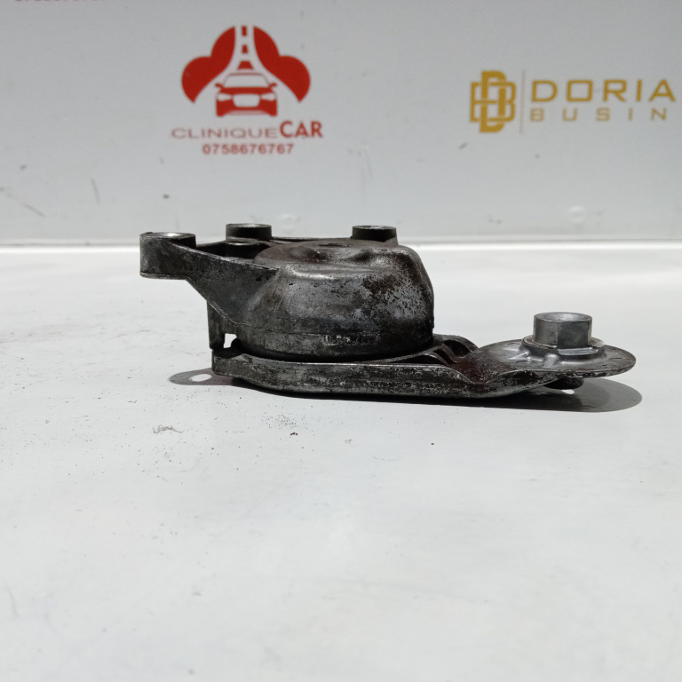 9676854880 Intinzator curea transmisie Peugeot Citroen