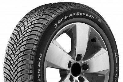 A112106MI 205 55 R17 95V XL TL G-GRIP ALL SEASON2 