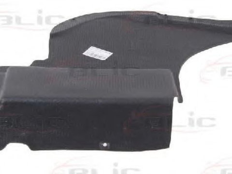 Acoperire motor MERCEDES VITO caroserie (638) (1997 - 2003) BLIC 6601-02-3541871P