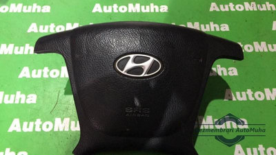 Airbag volan Hyundai Santa Fe 2 (2006-2012) 169095