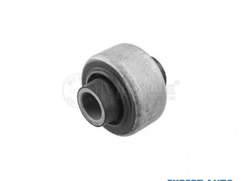 Alte piese suspensie Renault VEL SATIS 2002- #2 020861