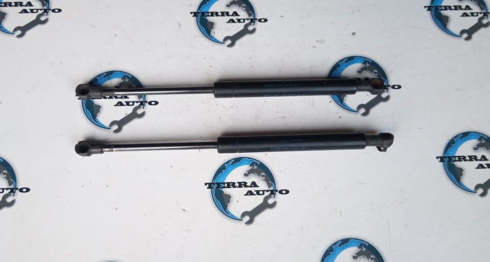 Amortizoare capota BMW E60