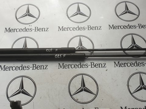 Amortizoare capota Mercedes Cls W219