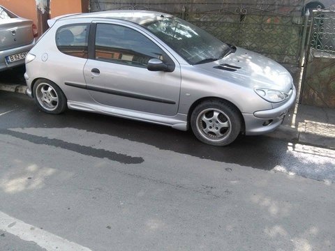 Amortizoare haion Peugeot 206, origine