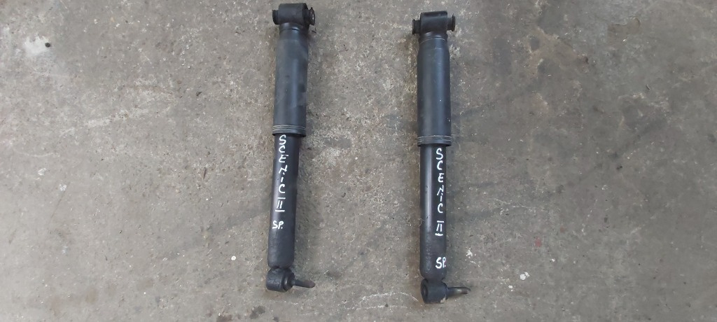 Amortizoare Spate Renault Scenic 2 ( 2003 - 2006 )