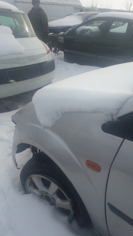 Amortizor arc flansa stanga Ford Fiesta 1.4 TDCI 2005