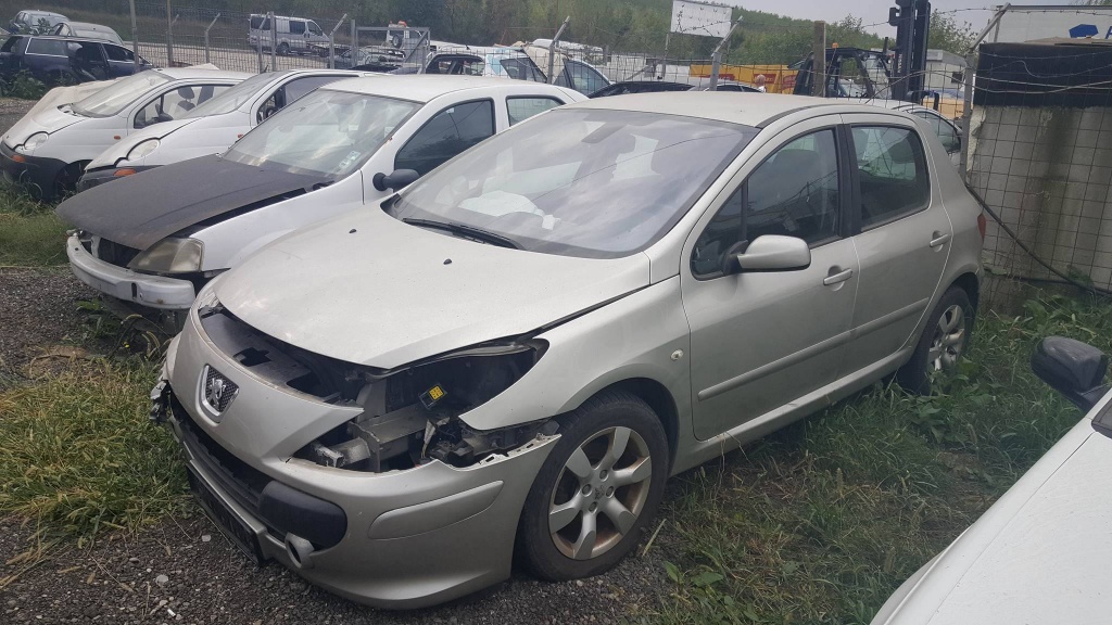 Amortizor arc flansa stanga Peugeot 307 1.6 HDI 2005