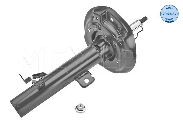 Amortizor Axa fata stanga (36266230022 MEYLE) NISSAN,RENAULT