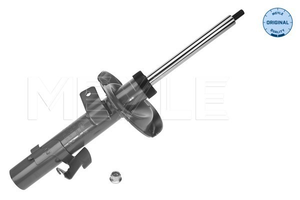 Amortizor Axa fata stanga (7266230013 MEYLE) FORD