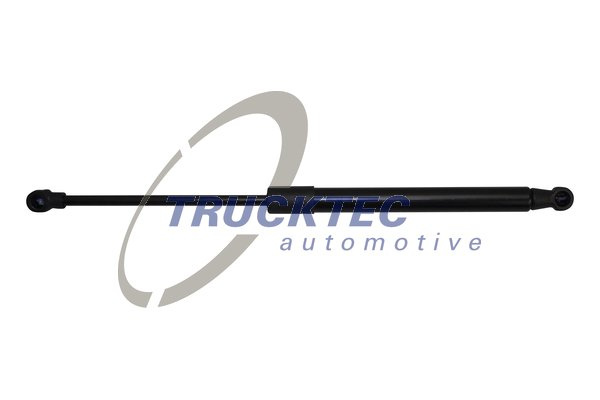 Amortizor capota (0863020 TRUCKTEC) BMW