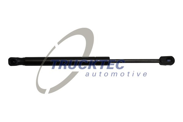 Amortizor capota (0863036 TRUCKTEC) BMW