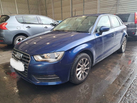 Amortizor capota Audi A3 8V 2014 HATCHBACK 1.6 TDI CRKB 110 CP