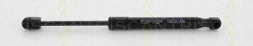 Amortizor capota AUDI A8 (4H_) - TRISCAN 8710 29144