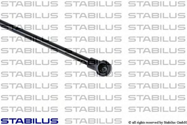 Amortizor capota BMW 3 cupe (E92) - Cod intern: W20032592 - LIVRARE DIN STOC in 24 ore!!!