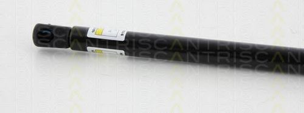 Amortizor capota MERCEDES-BENZ E-CLASS cupe C207 TRISCAN 871023115