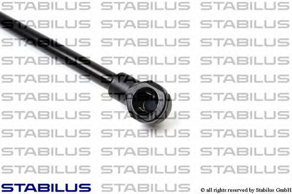 Amortizor capota PEUGEOT 406 cupe (8C) - Cod inter
