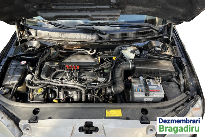 Amortizor capota portbagaj stanga Ford M
