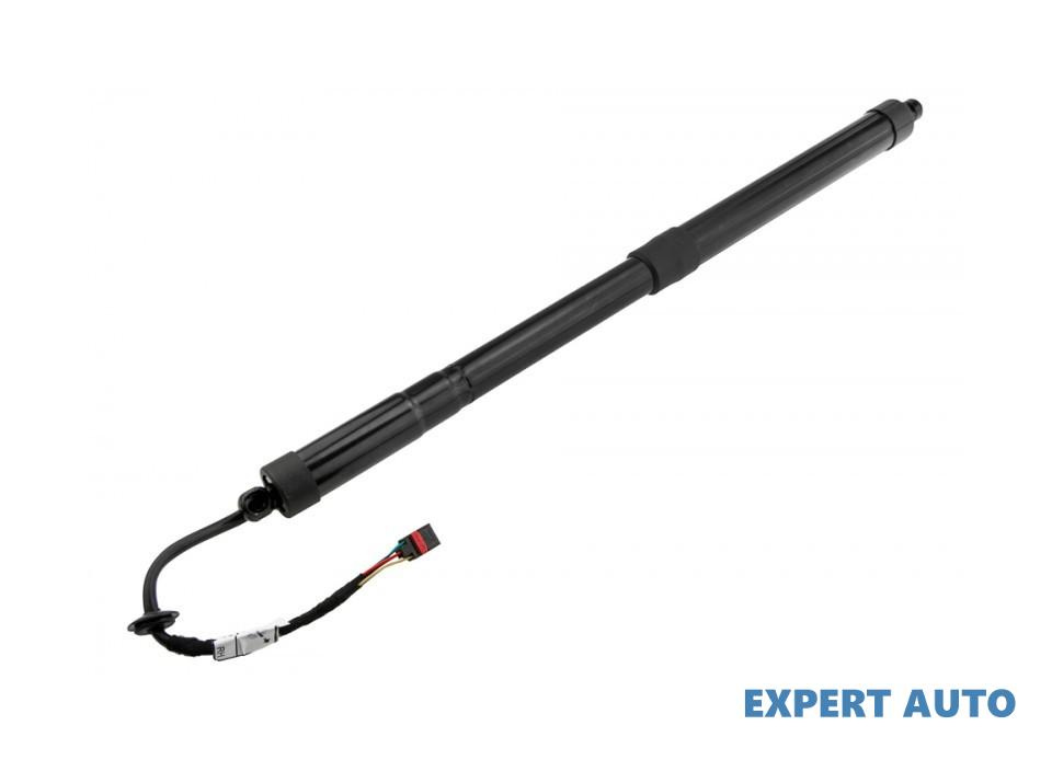 Amortizor capota spate Hyundai GRAND SANTA FE 2013