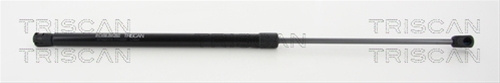 Amortizor Capota Triscan Dacia 8710 25110