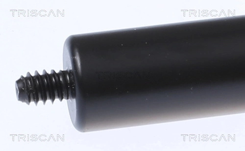 Amortizor capota Triscan MERCEDES-BENZ E-CLASS Cabriolet (A238) 2017-2025 - 8710 23134