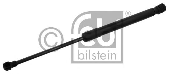 Amortizor capota VW CADDY III Caroserie (2KA, 2KH,