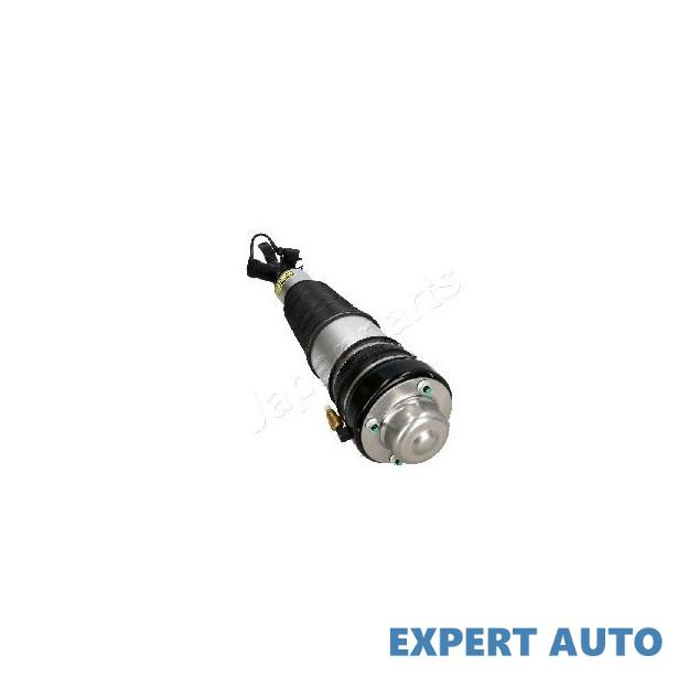 Amortizor cu perna aer Audi AUDI A6 (4F2, C6) 2004-2011 #2 0730056