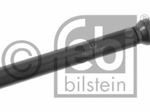 Amortizor directie MERCEDES S-CLASS cupe (C140) (1992 - 1999) Febi Bilstein 27572