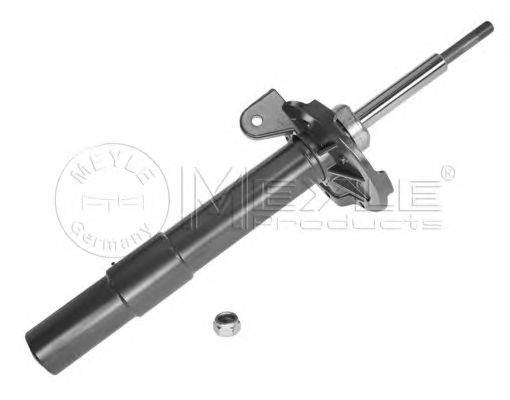 Amortizor dreapta fata/spate BMW 7 (E65, E66, E67) (An fabricatie 11.2001 - 12.2009, 211 - 367 CP, Diesel, Benzina) - Cod intern: W20105652 - LIVRARE DIN STOC in 24 ore!!!