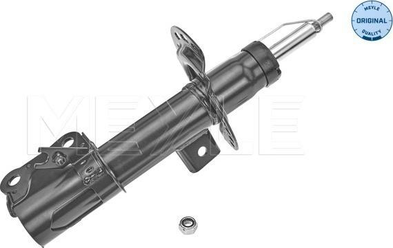 Amortizor Fata Dreapta FORD MONDEO V 1.0-2.0H 09.1