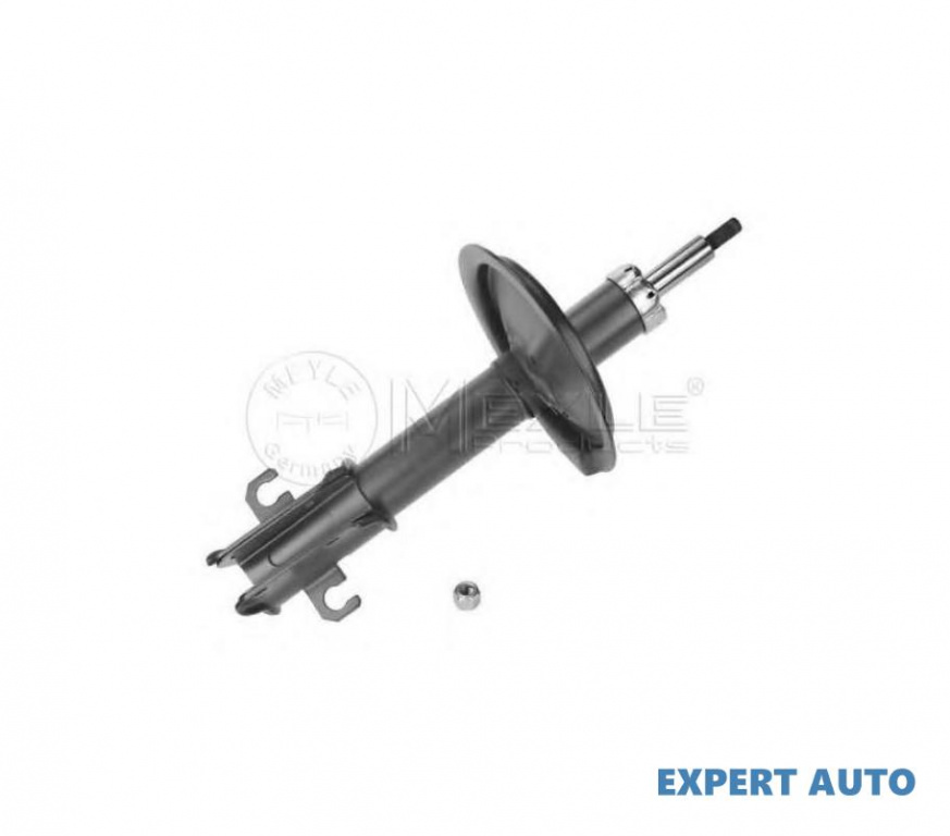 Amortizor Fiat BRAVO I (182) 1995-2001 #2 110460