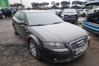 Amortizor haion Audi A3 8P 2007 hatchback 1.9 TDI