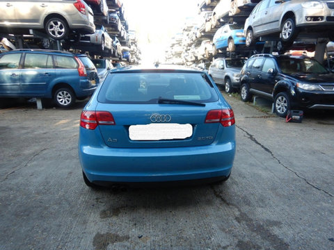 Amortizor haion Audi A3 8P 2009 HATCHBACK 2.0 IDT CBAB