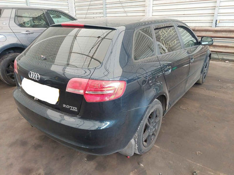 Amortizor haion Audi A3 8P 2009 HATCHBACK 2.0 TDI CBBB QUATTRO