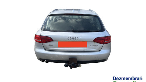 Amortizor haion dreapta Audi A4 B8/8K [2