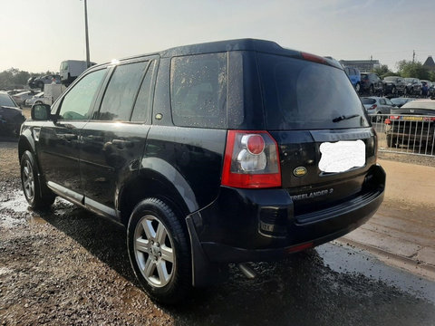 Amortizor haion Land Rover Freelander 2010 SUV 2.2 DOHC