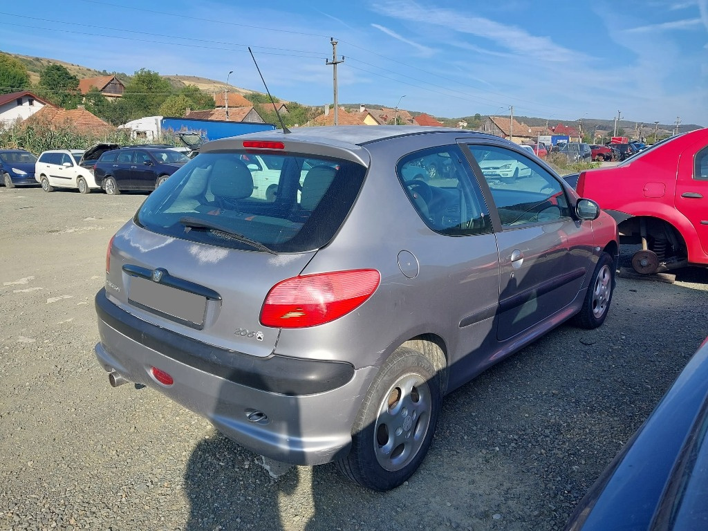 Amortizor haion Peugeot 206 2000 1.4 Benzina