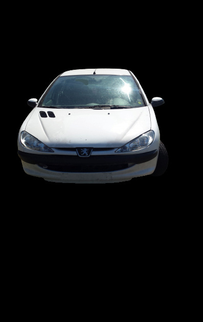 Amortizor haion stanga Peugeot 206 prima generatie [facelift] [2002 - 2009] Hatchback 3-usi 1.4 HDi MT (70 hp)