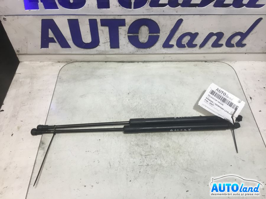 Amortizor Haion telescop 2 Buc Nissan QASHQAI J10,JJ10 2007