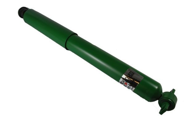 Amortizor Magnum Technology AGY019MT