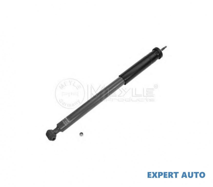 Amortizor Mercedes E-CLASS (W211) 2002-2009 #2 0230123