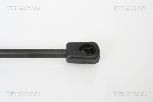 Amortizor portbagaj # Ford Focus 2004 2005 2006 2007 2008 2009 2010 2011 2012 # 8710 16240 # TRISCAN