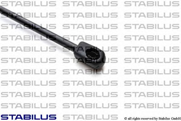 Amortizor portbagaj (forta de ejectare: 370N) RENAULT Sandero / Stepway I (BS_) (An fabricatie 12.2007 - ..., 72 - 105 CP, Benzina, (LPG)) - Cod intern: W20128858 - LIVRARE DIN STOC in 24 ore!!!