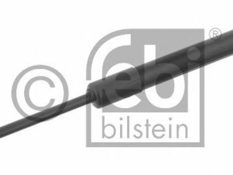 Amortizor portbagaj MAZDA 6 Hatchback (GG) (2002 - 2008) Febi Bilstein 29401