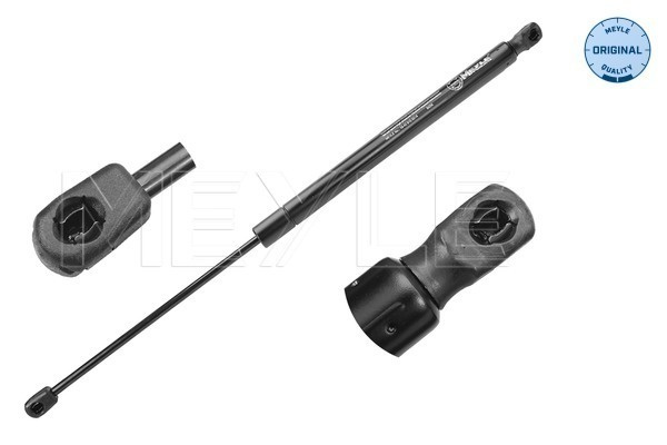 Amortizor portbagaj MEYLE 16-40 910 0014 pentru RENAULT MEGANE II combi (KM0/1_) 2003-2011