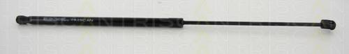 Amortizor portbagaj NISSAN JUKE (F15) - TRISCAN 8710 14248