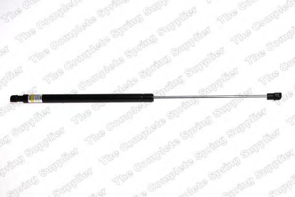 Amortizor portbagaj PEUGEOT 206+ (T3E) (2009 - 2016) QWP WGS213